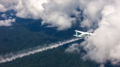 پروازهای بارورسازی ابرها تا پایان بهار ادامه دارد / اخبار سیاسی روز , اخبار نیروهای مسلح ایران