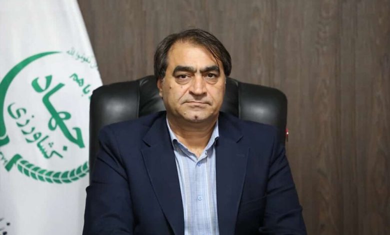 توزیع متمرکز نهاده‌های دامی با ارز دولتی از آذرماه / نهاده دامی , ارز دولتی , شرکت پشتیبانی امور دام , یکپارچه‌سازی , تولیدکنندگان