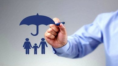 رشد ۵۷ درصدی حقبیمه در ۸ ماهه نخست ۱۴۰۴ / بیمه مرکزی , حق بیمه , بازار بیمه , خسارت پرداختی , بیمه درمان