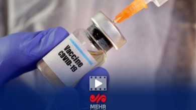 افزایش قربانیان سرخک در سرزمینهای اشغالی به دلیل سیستم ناکارآمد واکسیناسیون / سرخک , سرزمینهای اشغالی , واکسیناسیون , سلامت , بحران بهداشتی