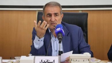 مشکل خوراک پتروشیمی چرام پس از 2.5 سال حل شد / اخبار کهگیلویه و بویراحمد - اخبار استانها