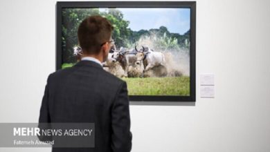 آغاز دوازدهمین دوره مسابقه بینالمللی عکاسی خبری آندری استنین در مسکو / مسابقه عکاسی , آندری استنین , عکاسی خبری , مسکو , راسیا سگودنیا