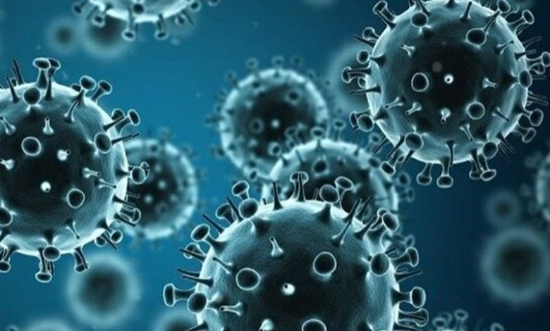 هشدار مسئولان بهداشت کیش نسبت به وضعیت شکننده جزیره در برابر ویروس آنفلوآنزا / اخبار جزایر خلیج فارس - اخبار استانها