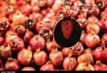 آغاز بهکار نمایشگاههای عرضه کالای شب یلدا در شیراز / اخبار فارس - اخبار استانها