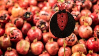 آغاز بهکار نمایشگاههای عرضه کالای شب یلدا در شیراز / اخبار فارس - اخبار استانها