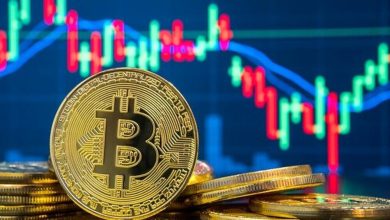 بورس تهران متولی راه‌اندازی صندوق‌های سرمایه‌گذاری رمزارزی شد / بورس تهران , صندوق سرمایه‌گذاری , رمزارز , بازار سرمایه , ارز دیجیتال