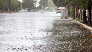 سیلابهای اخیر فارس/ جان پنج نفر گرفت و کشاورزی را ویران کرد / اخبار فارس - اخبار استانها