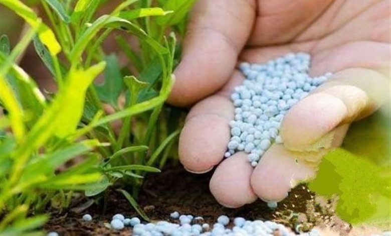 توزیع 81 درصد کود شیمیایی سهمیه چهارمحال و بختیاری / اخبار چهارمحال و بختیاری - اخبار استانها
