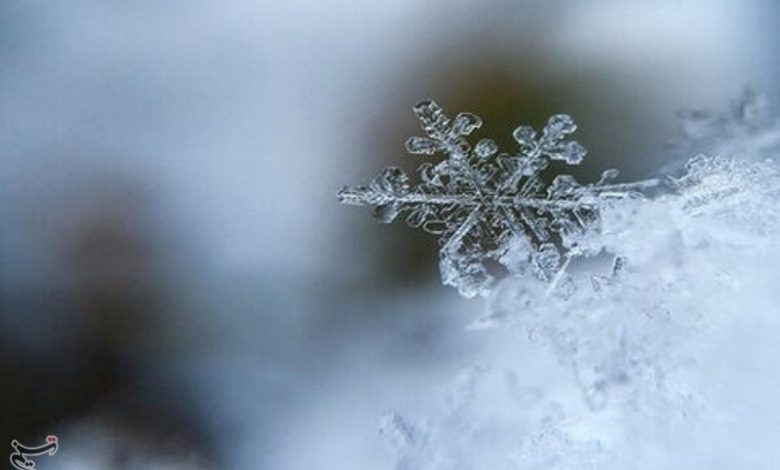 هوای سرد و یخبندان تا پایان هفته در استان ماندگار است / اخبار زنجان - اخبار استانها