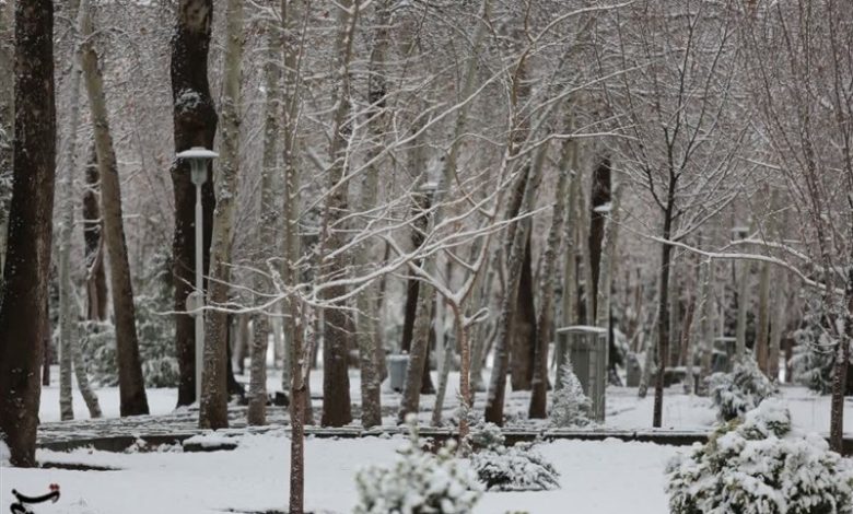 اصفهان آماده بارش برف و باران شود؛ صدور هشدار زرد هواشناسی / اخبار اصفهان - اخبار استانها