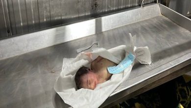 شهادت نوزاد یکماهه فلسطینی در غزه بر اثر سرما / نوار غزه , شهادت , سرمای شدید , فلسطین , خان یونس