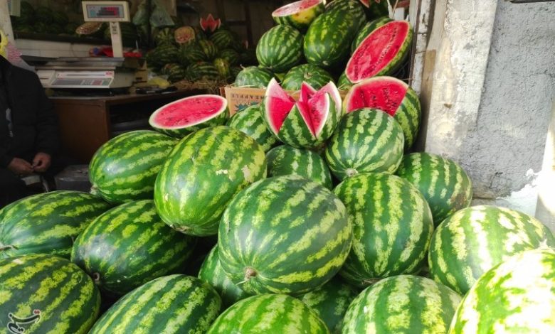 قصهی یلدایی که از سفره به ویترین پناه برد/ بحران قیمتگذاری در شب یلدا / اخبار زنجان - اخبار استانها