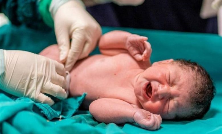 ثبت بیش از 59 هزار ولادت در خراسان رضوی/کاهش 7 درصدی ولادت/ اخبار خراسان رضوی - اخبار استانها