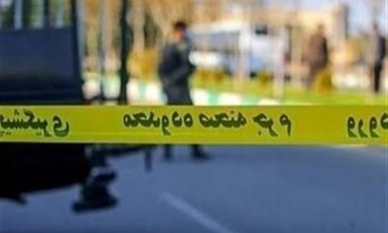 مبارزه با جرایم سازمان‌یافته و خرد در نقاط مختلف استان لرستان / اخبار لرستان - اخبار استانها