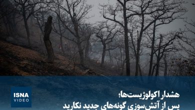 هشدار اکولوژیستها: از کاشت گونههای جدید گیاهی پس از آتشسوزی خودداری کنید / آتشسوزی , اکولوژیست , گونههای گیاهی , محیطزیست , بازسازی طبیعی
