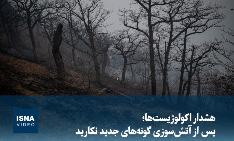 هشدار اکولوژیستها: از کاشت گونههای جدید گیاهی پس از آتشسوزی خودداری کنید / آتشسوزی , اکولوژیست , گونههای گیاهی , محیطزیست , بازسازی طبیعی