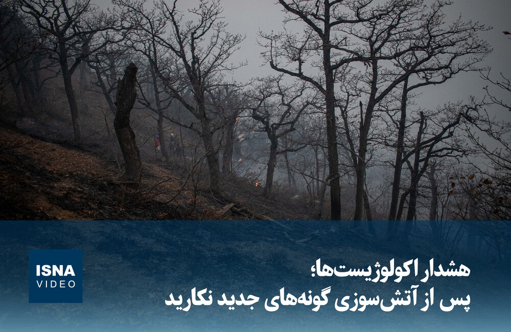 هشدار اکولوژیستها: از کاشت گونههای جدید گیاهی پس از آتشسوزی خودداری کنید / آتشسوزی , اکولوژیست , گونههای گیاهی , محیطزیست , بازسازی طبیعی