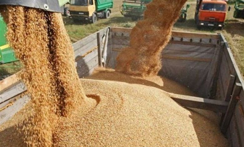 نامه به نوریقزلجه درباره فوریت اجرای مصوبات تأمین و توزیع نهادههای دامی / اخبار سیاسی روز , اخبار مجلس