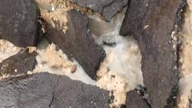 فیبر نوری دهدشت، شهر را زخم زد؛ توسعه ناموفق اینترنت و قول ترمیم شهردار+فیلم / اخبار کهگیلویه و بویراحمد - اخبار استانها