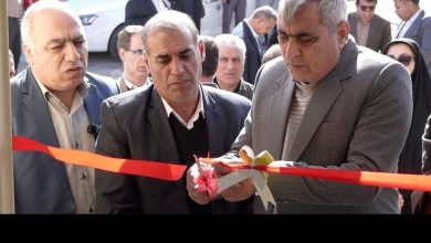 استقرار سه اداره کل در شهرستان بدره/ تحقق یکی از مطالبات دیرینه مردم / اخبار ایلام - اخبار استانها