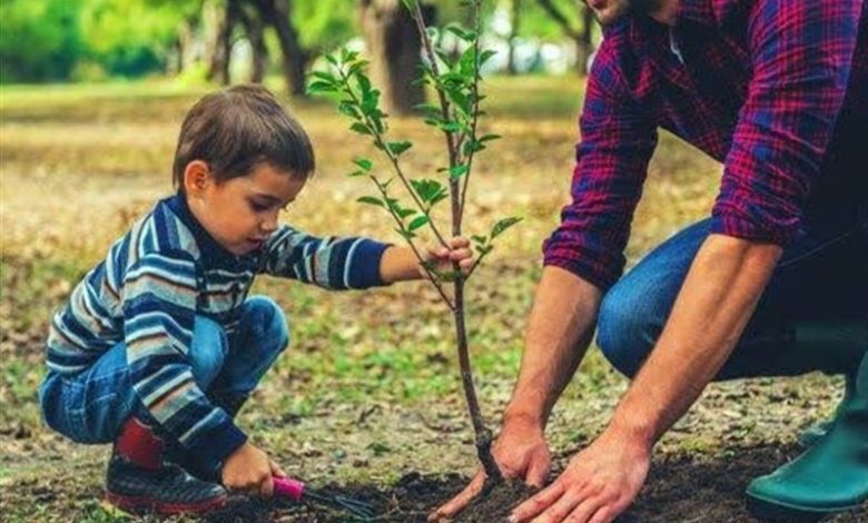 1200 اصله نهال به مناسبت روز مادر در مازندران کاشته شد / اخبار مازندران - اخبار استانها