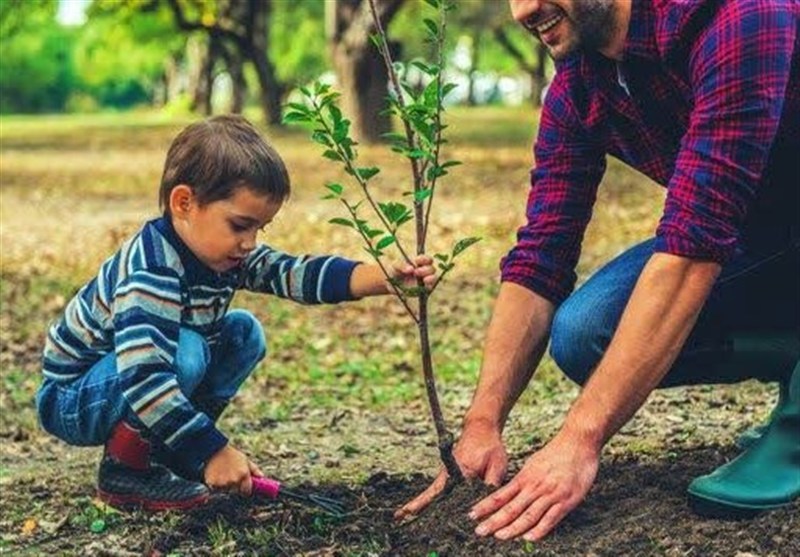 1200 اصله نهال به مناسبت روز مادر در مازندران کاشته شد / اخبار مازندران - اخبار استانها