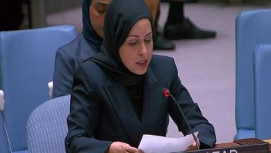 قطر حملات اسرائیل به غزه و سوریه را محکوم کرد / قطر , غزه , سوریه , اسرائیل , سازمان ملل