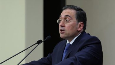 وزیر خارجه اسپانیا: راهحل دودولتی، کلید ثبات در منطقه است / اسپانیا , فلسطین , راهحل دودولتی , صلح , ثبات