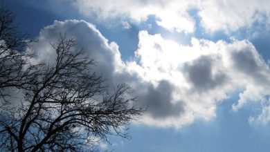 ناپایداری جوی و بارشهای رگباری خراسان جنوبی تا پایان هفته / اخبار خراسان جنوبی - اخبار استانها