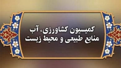 نامه مجلس به معاون وزیر صمت درباره صادرات بخش کشاورزی / اخبار سیاسی روز , اخبار مجلس