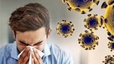 کاهش 40 درصدی مراجعات آنفلوآنزا در کهگیلویه و بویراحمد / اخبار کهگیلویه و بویراحمد - اخبار استانها