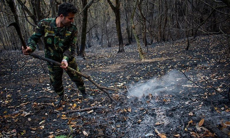 آتشسوزیهای محدود در جنگلهای شرق گلستان خاموش شد / اخبار گلستان - اخبار استانها