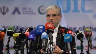 وزیرعلوم خبرداد: بسته حمایتی دولت برای مرجعیت علمی / اخبار سیاسی روز , اخبار دولت