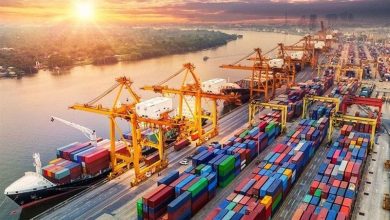 صادرات 800هزار دلاری محصولات شرکتهای دانشبنیان در کاشان / اخبار کاشان - اخبار استانها