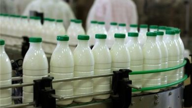 بازنگری قیمت لبنیات در جلسه تنظیم بازار؛ قیمت شیر خام ۲۹,۵۰۰ تومان تعیین شد / لبنیات , قیمت لبنیات , شیر خام , تنظیم بازار , مصرف لبنیات