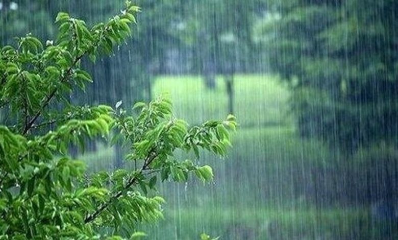 آزمون باران در خلیج فارس؛ جزایر هرمزگان با بارشهای ممتد و آمادهباش تمامعیار / اخبار جزایر خلیج فارس - اخبار استانها