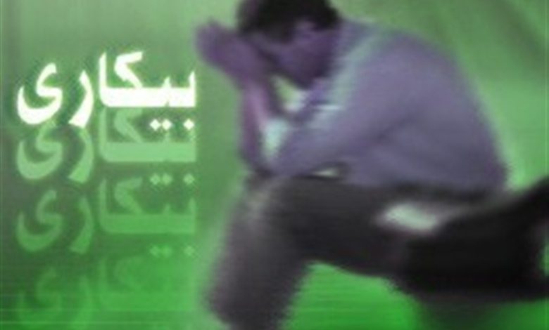 رتبه 5 اردبیل در کاهش نرخ بیکاری / اخبار اردبیل - اخبار استانها