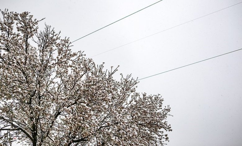 هشدار یخبندان در اصفهان؛ دمای هوا بین 5 تا 8 درجه کاهش مییابد / اخبار اصفهان - اخبار استانها