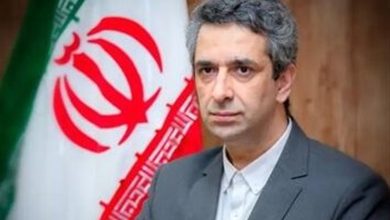 طباطبایی: تمرکز بر همسایگان مسیر پیشرفت کشور را هموار میکند / اخبار سیاسی روز , اخبار دولت