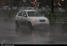 شهرداری شیراز در آمادهباش کامل برای مدیریت بارشهای شدید است/بازارهای موقت تعطیل میشوند / اخبار فارس - اخبار استانها