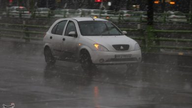 شهرداری شیراز در آمادهباش کامل برای مدیریت بارشهای شدید است/بازارهای موقت تعطیل میشوند / اخبار فارس - اخبار استانها