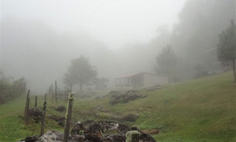 گردشگری پاییزی| ماجراجویی در قلب طبیعت بکر غرب ایران/ سفر به جغرافیای آرامش با چالش 'مه' / اخبار ایلام - اخبار استانها