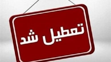 هفتاد و دومین مرکز غیرمجاز در شیراز تعطیل شد/برخورد با متخلفان ادامه دارد / اخبار فارس - اخبار استانها