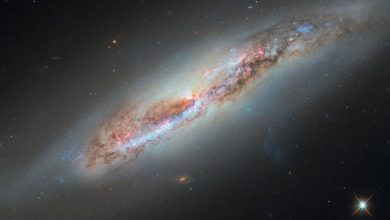 تصویر تلسکوپ هابل از کهکشان NGC 4388 با دنباله گازی / تلسکوپ هابل , کهکشان NGC 4388 , خوشه دوشیزه , دنباله گازی , سیاهچاله