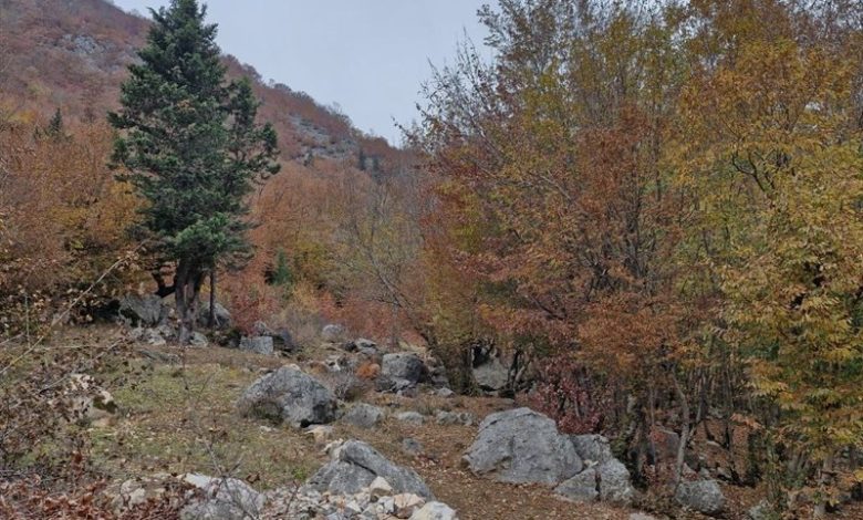 آمادگی کامل شهرداری شیراز برای نخستین بارشهای پاییزی / اخبار فارس - اخبار استانها