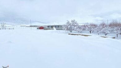 بارش بیسابقه برف در کهگیلویه و بویراحمد+تصاویر / اخبار کهگیلویه و بویراحمد - اخبار استانها