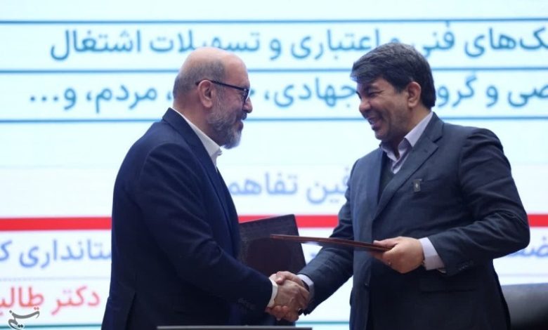 تفاهمنامه استانداری کرمان با بنیاد مستضعفان در چه حوزههایی بود؟ / اخبار کرمان - اخبار استانها