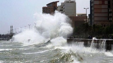 آخرین خبرها از طوفان قشم/ احتمالی خاموشی مجدد وجود دارد / اخبار جزایر خلیج فارس - اخبار استانها