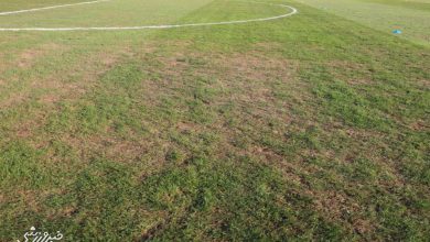 انتقاد ویرا از چمن ورزشگاه شهر قدس؛ استادیومهای ایران داغ دل هواداران فوتبال / پرسپولیس , آلومینیوم اراک , ورزشگاه شهر قدس , اوسمار ویرا , چمن