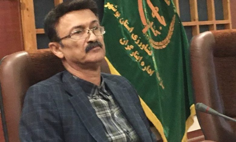 11 محصول کشاورزی باغی و زارعی دارای شناسامه هویتی میشود/ اخبار بوشهر - اخبار استانها